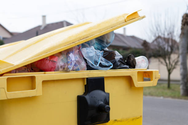 Best Recycling Services for Junk  in Walhalla, SC